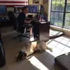 brucearchibald3 - @brucearchibald3 - TikTok