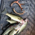 Bruce Archambault - @brucedabeast05_outdoors - Instagram