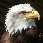 bruce ardian - @ard.bruce - Instagram