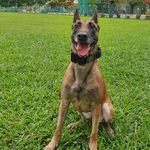 Argo Bruce - @argo_bruce - Instagram