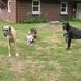 Bruce Argo - Facebook