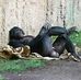Aristide Bruce Ossomo - Facebook