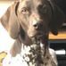 Bruce Atkinson - Facebook