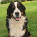 Bruce Avery - Facebook
