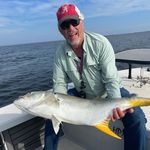 Bruce Bailey - @bruce.bailey60 - Instagram