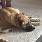 Bruce Bailey - Facebook