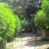Bruce Baker - @bruce.baker7 - TikTok