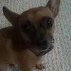 brucebaker0 - @brucebaker0 - TikTok