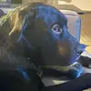 bruceybaker - @bruceybaker - TikTok