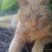 Bruce Banning - Facebook