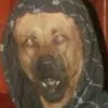 lit_videos_boi - @brycebarham - TikTok