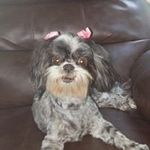 Bruce Barley - @barleybruce - Instagram