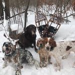 Bruce Barlow - @bevrpndhntr - Instagram