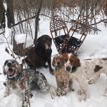 Bruce Barlow - @bruce.barlow.3998 - Instagram