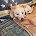 Bruce Barnard - Facebook