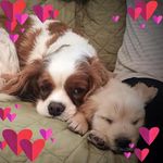 Mary Bruce Barnard - @marybbarnard - Instagram