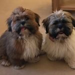 Barney and Bruce - @barneyandbruce - Instagram
