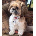 Barney Bruce - @mr.barneybruce - Instagram