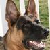 Bruce Barney - Facebook
