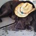 Bruce Barney - Facebook