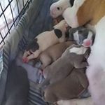 Bruce Barr - @barr.bruce - Instagram