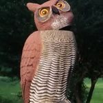 Bruce Barr - @bruce.barr.902 - Instagram