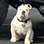 Bruce Barr - @brucembarr98 - Instagram