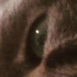 ✿ Bruce ✿ - @brucebarrettmusic - Instagram