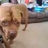 Bruce barrett - @bruce.barrett0 - TikTok