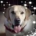Bruce Barrick - Facebook