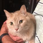 Bruce Barricklow - @brucebarricklow - Instagram