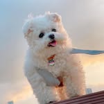 Bruce Barrie - @bruce.barrie.5473 - Instagram