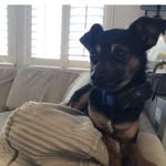 Bruce DiBartolomeo - @brucedibartolomeo - Instagram