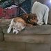 Bruce Bamsch - Facebook