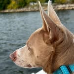 Bruce Bartz - @bartzb01 - Instagram