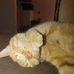 Bruce Baskerville - Facebook