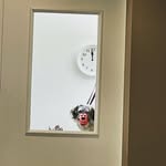 Bruce Baskerville - @baskervillebruce - Instagram