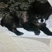 Bruce Baskin - Facebook