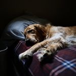 Bruce Batson - @brucebatson7339 - Instagram