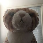 Bruce - @bruce.batten - Instagram