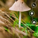 عرافه حمزه - @brucebaughman121 - Instagram