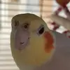 Bruce Baxter - @bruce.baxter1 - TikTok