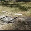 brucelawrencebaxterbc - @brucelawrencebaxterbc - TikTok