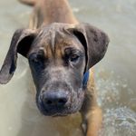 @bruce_bayers - Instagram