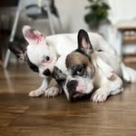 Bruce & Bayne | Apartamento 21 - @brucebayne.21 - Instagram
