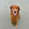 Bruce - @beachbumbruce23 - TikTok