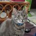 Bruce Beacom - Facebook