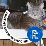Bruce Beacom - @beacombruce - Instagram