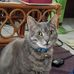 Bruce Beacom - Facebook