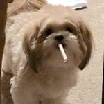 Bruce Beall - @brucethefantasticrealist - Instagram